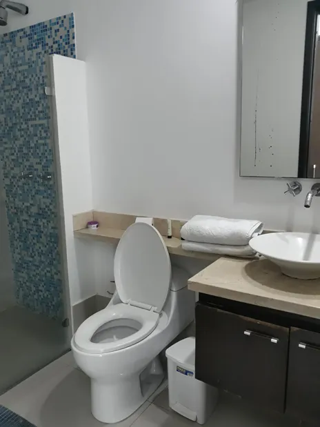 Baño interno, edificio palmetto eliptic, apartamento 1205.