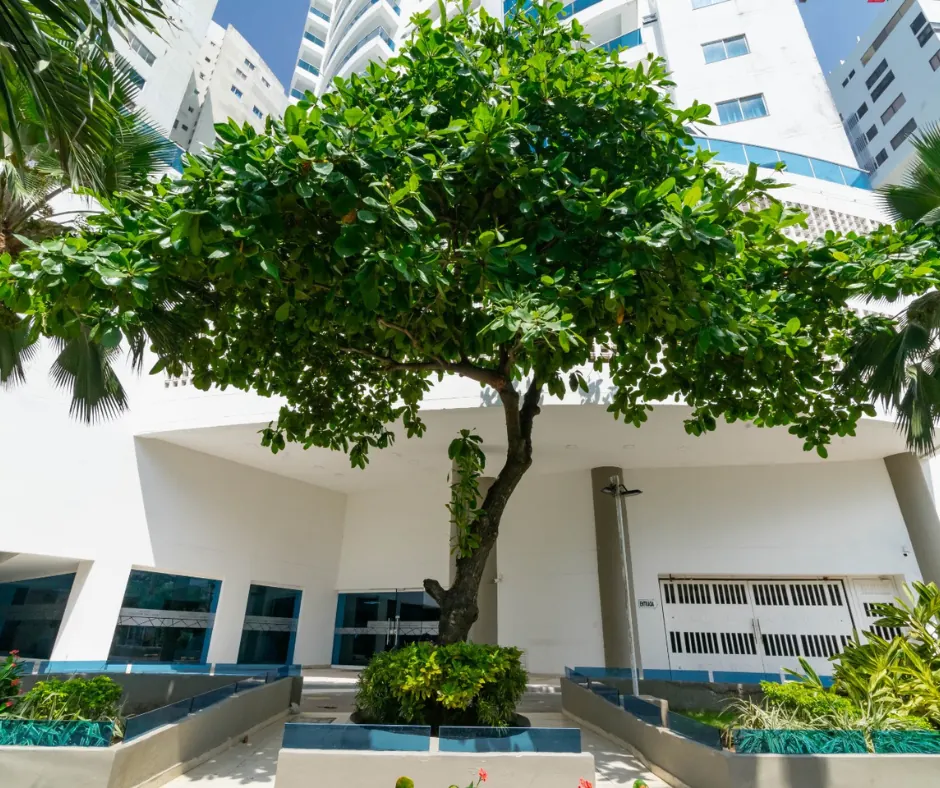 Fachada Principal del Edificio Poseidón del Caribe, Sector El Laguito